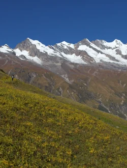 Terks-and-Expeditions