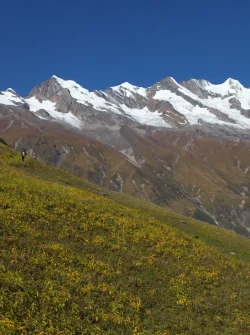 Terks-and-Expeditions