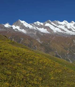 Terks-and-Expeditions