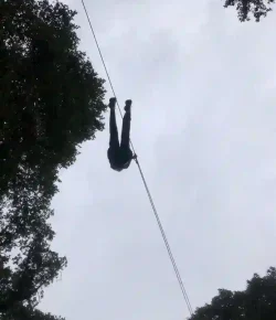 Zip Line