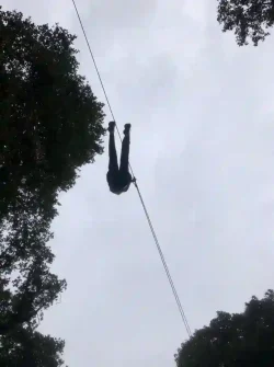 Zip Line