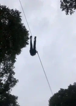 Zip Line